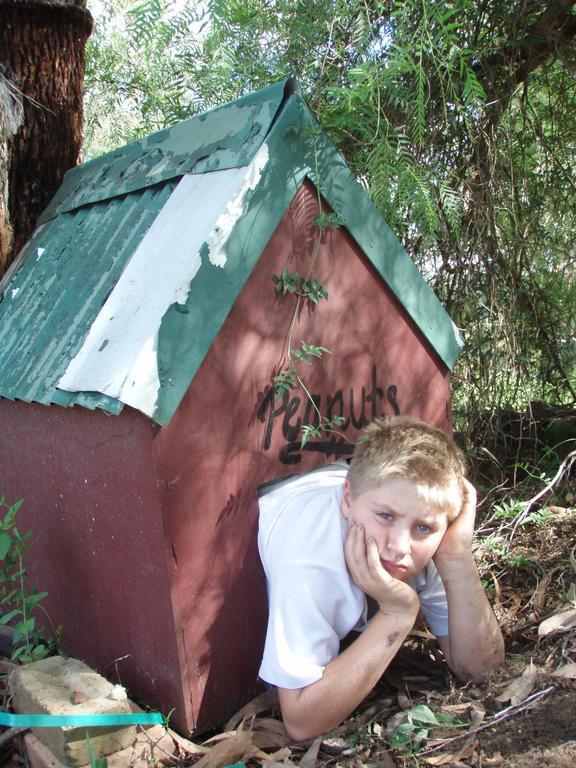 Kurrajong Trails & Cottages Wheeny Creek Zewnętrze zdjęcie