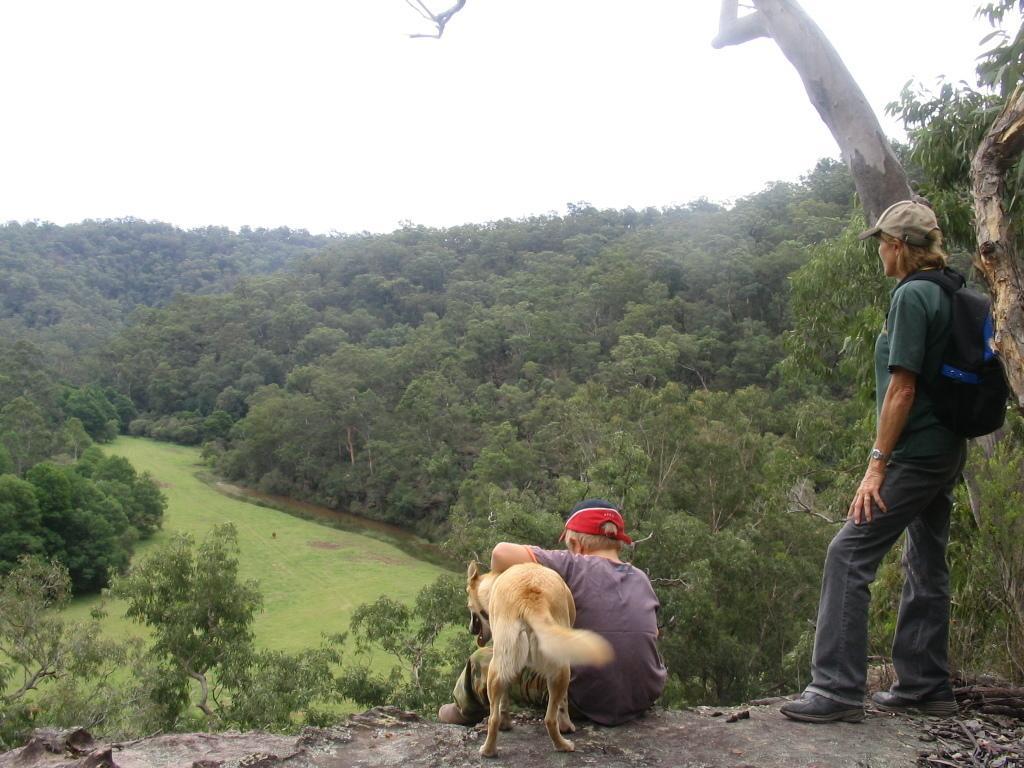 Kurrajong Trails & Cottages Wheeny Creek Zewnętrze zdjęcie