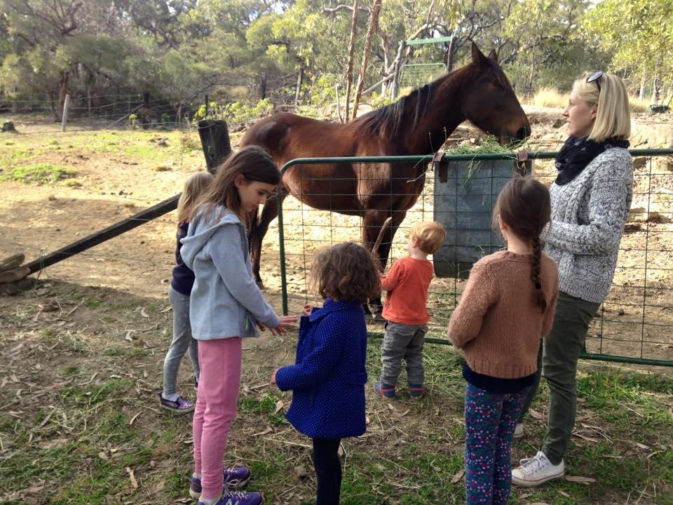 Kurrajong Trails & Cottages Wheeny Creek Zewnętrze zdjęcie