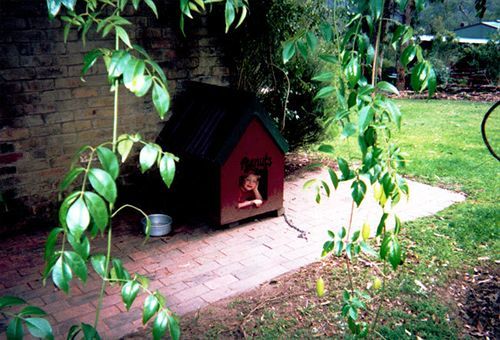 Kurrajong Trails & Cottages Wheeny Creek Zewnętrze zdjęcie